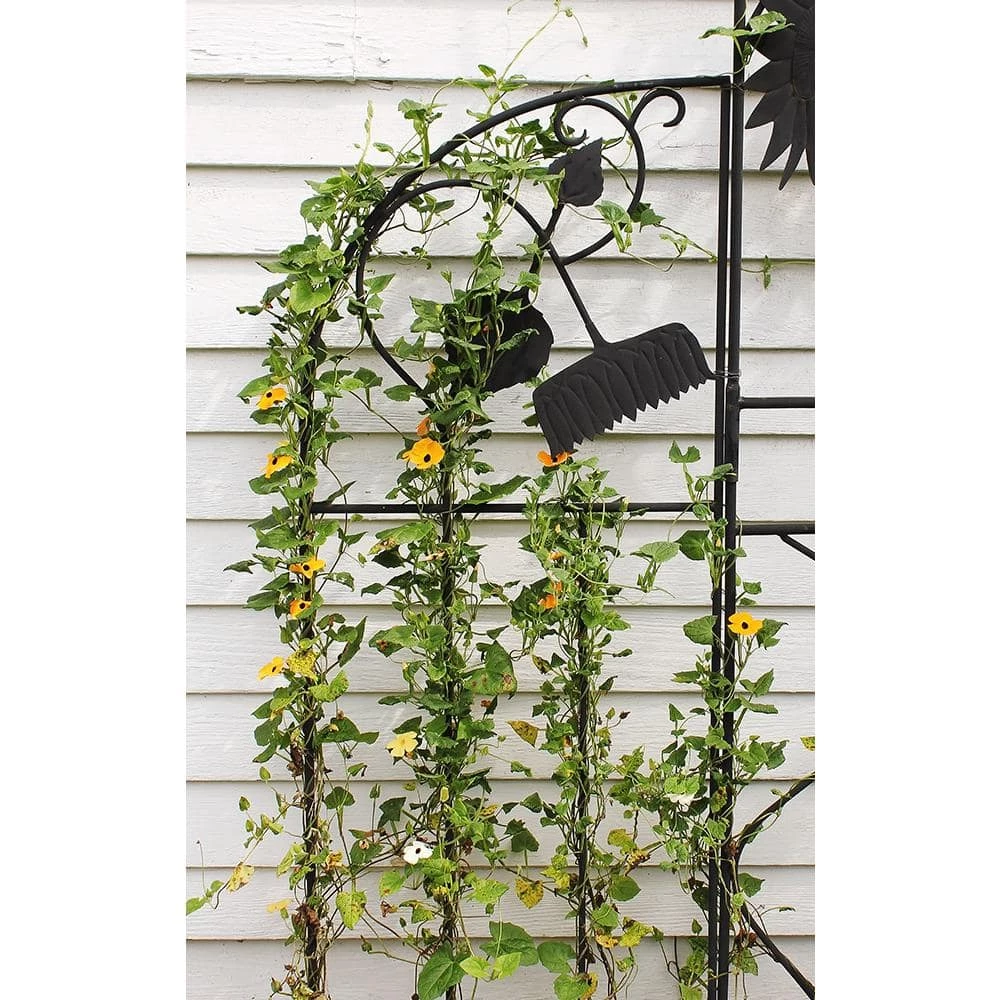 ACHLA DESIGNS Set of 2 Side Panels for Sunflower Trellis, 58 in. Tall Black Powder Coat Finish - Image 3