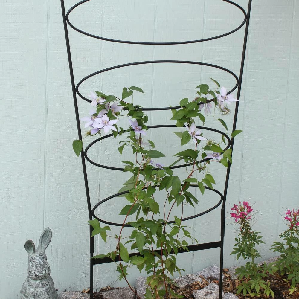 ACHLA DESIGNS 60.75 in. H Black Powdercoated Wrought Iron Outdoor Garden Ovals Trellis - Image 4