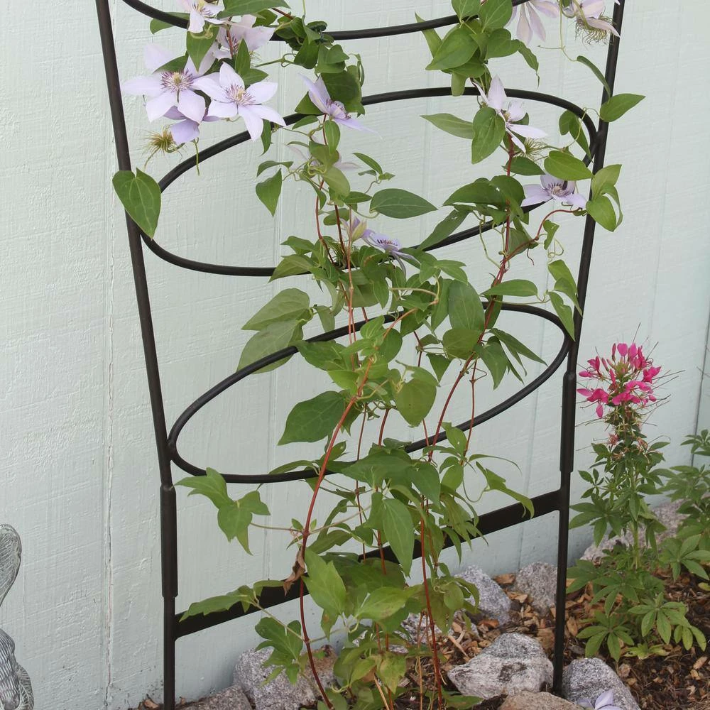 ACHLA DESIGNS 60.75 in. H Black Powdercoated Wrought Iron Outdoor Garden Ovals Trellis - Image 5