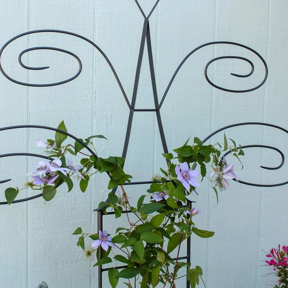 ACHLA DESIGNS 49.75 in. H Graphite Powdercoated Wrought Iron Outdoor Garden Butterfly Trellis - Image 5