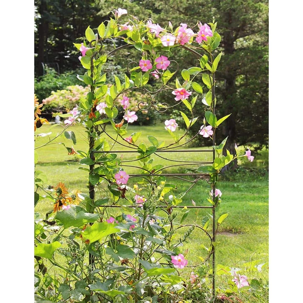 ACHLA DESIGNS 83.5 in. Tall Roman Bronze Powdercoat Traditional Ferro Firenze Garden Trellis - Image 3